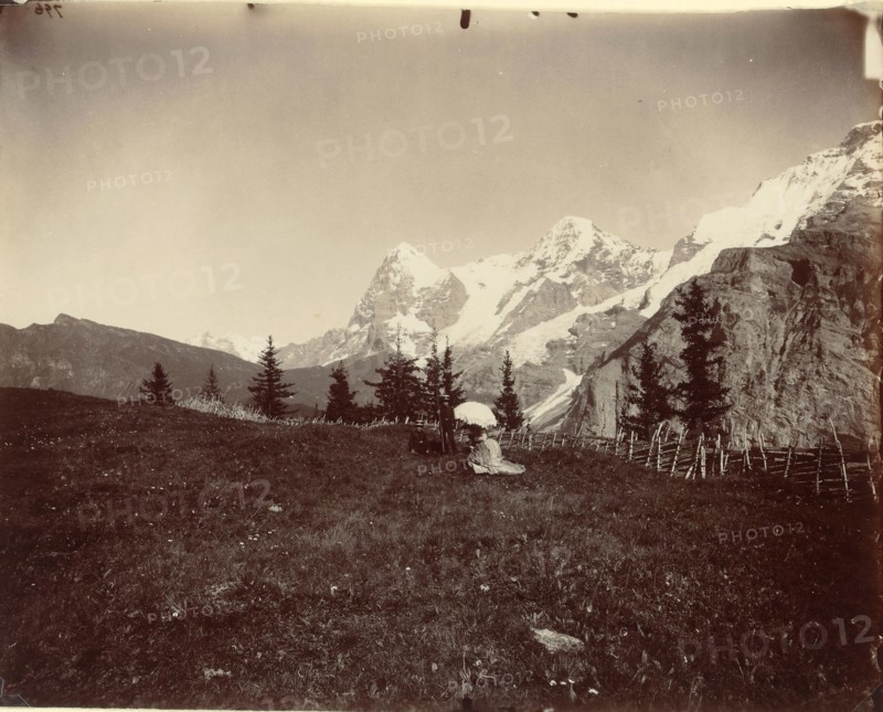 Landscape, Switzerland, c. 1860, Adolphe Braun, French, 1811–1877, France, Albumen print triptych, 23.7 × 30.1 cm (left image), 24.6 × 30.0 cm (center image), 24.5 × 29.8 cm (right image), 12 × 14 in. (each support, appro×.)
