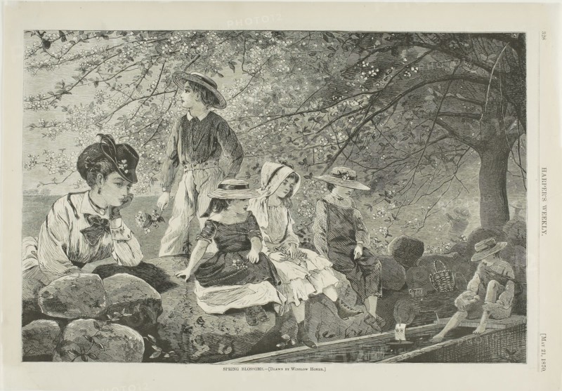 Spring Blossoms, published May 21, 1870, Winslow Homer (American, 1836-1910), published by Harper’s Weekly (American, 1857-1916), United States, Wood engraving on buff wove paper, 233 x 351 mm (image), 274 x 390 mm (sheet)