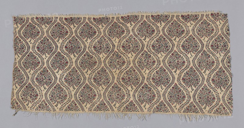 Shawl Fragment, c. 1815, India, India, Wool, double interlocking 2:2 'S' twill tapestry weave, warp fringe, 53.4 x 104.1 cm (21 x 41 in.)