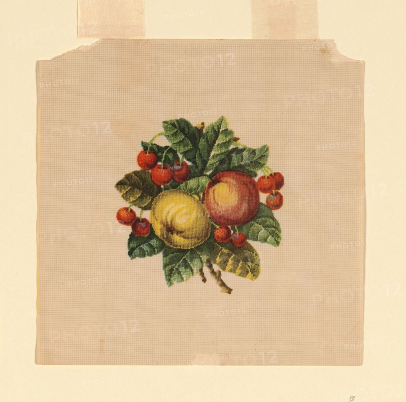 Probably a Design for Needlepoint, probably 19th century, United States, Ink on paper, 15.9 x 15.9 cm (6 1/4 x 6 1/4 in.)
