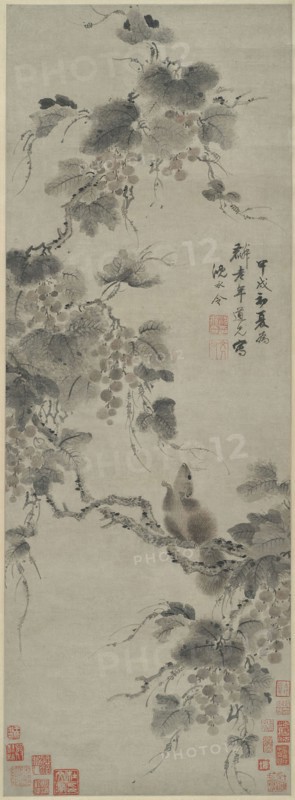 Squirrel and Grapes, 1694, Shen Yongling, Chinese, 1614-1698, China, Hanging scroll, ink and color on paper, 33 1/5 × 12 1/4 in. (84.7 × 30.6 cm)