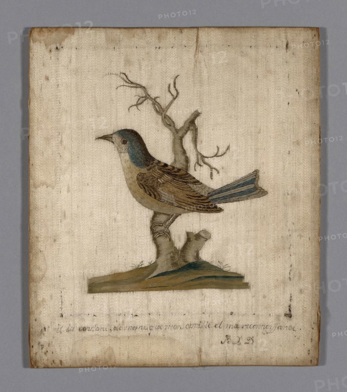 Picture of a Bird, 18th century, France, Silk, satin weave, embroidered with silk in satin and stem stitches, couching, 22.2 19 cm (8 3/4 × 7 1/2 in.)
