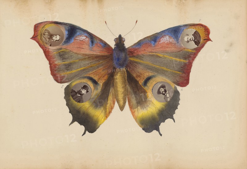 The Madame B Album, 1870s, Marie-Blanche-Hennelle Fournier, French, 1831–1906, France, Albumen prints and watercolor (in album), 29.2 × 41.9 cm