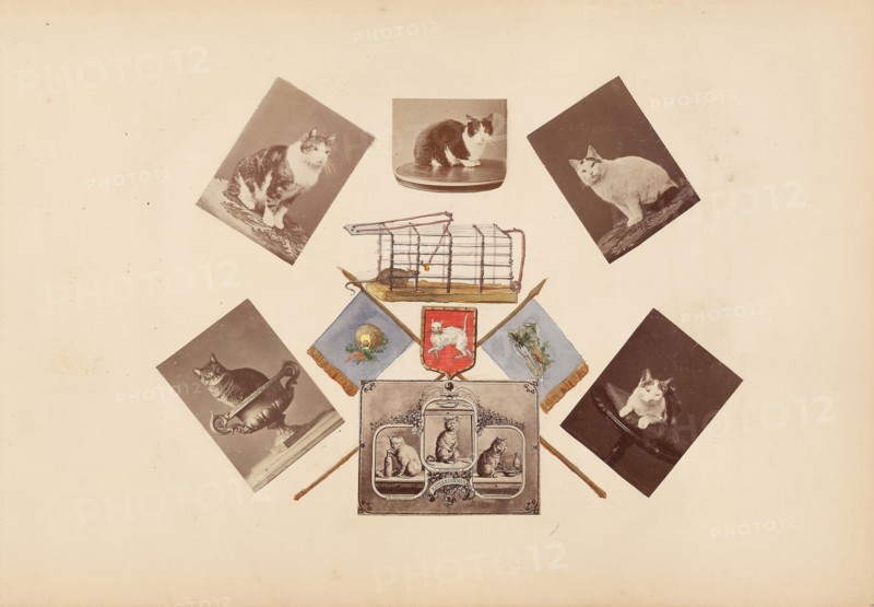 The Madame B Album, 1870s, Marie-Blanche-Hennelle Fournier, French, 1831–1906, France, Albumen prints with watercolor (in album), 29.2 × 41.9 cm