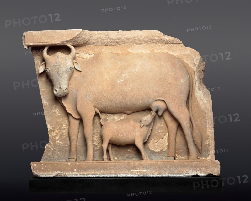 Cow Suckling a Calf, About 9th century, India, Madhya or Uttar Pradesh, India, Sandstone, 55.3 × 73.7 × 9.6 cm (22 3/4 × 29 × 3 3/4 in.)