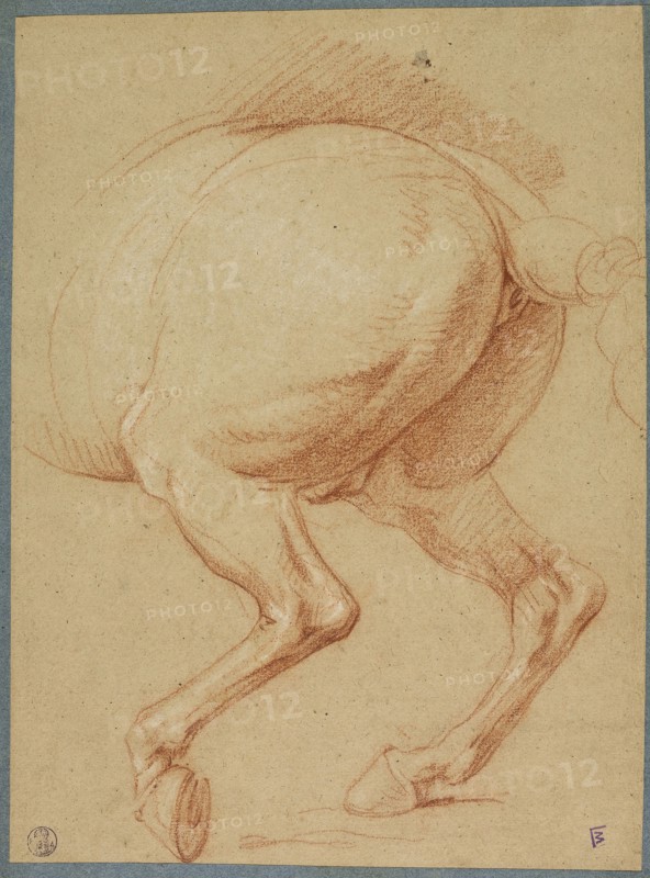The Hind Legs of a Horse, n.d., Charles Le Brun, French, 1619-1690, France, Red and white chalk on brown laid paper, laid down on cream laid paper, with a blue laid paper border, 285 × 213 mm