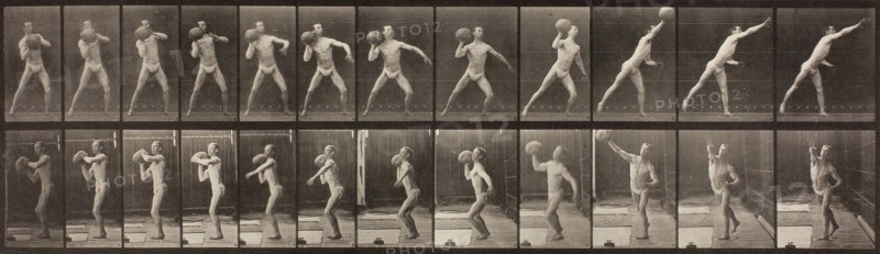Animal Locomotion, Plate 319, 1887, Eadweard Muybridge, English, active United States, 1830–1904, England, Collotype, from "Animal Locomotion