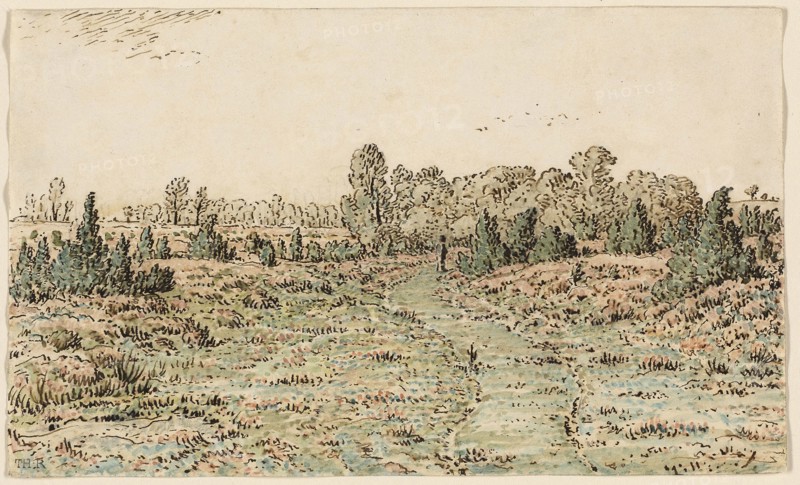 Footpath in the Barbizonnières, 1864, Theodore Rousseau, French, 1812-1867, France, Pen and brown and black ink, with watercolor, over graphite, on ivory wove paper, 123 × 204 mm