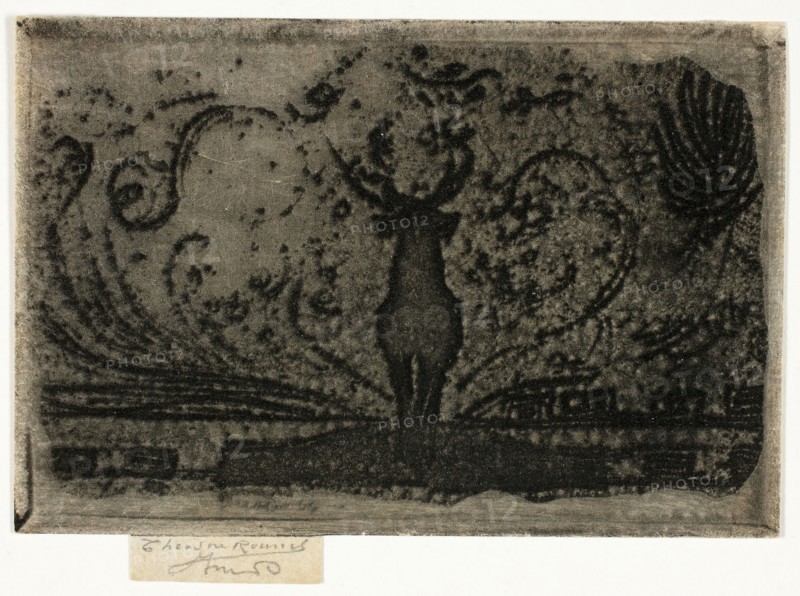 A Stag, A Study, 1890–98, Theodore Roussel, French, worked in England, 1847-1926, England, Soft ground etching in black on cream laid paper, 61 × 91 mm (image/plate), 67 × 91 mm (sheet)