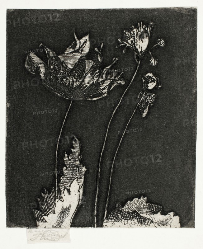 Last Poppies, 1897, Theodore Roussel, French, worked in England, 1847-1926, England, Etching and softground in black on ivory wove paper, 78 × 67 mm (image, trimmed within plate mark), 82 × 67 mm (sheet, with signature tab)
