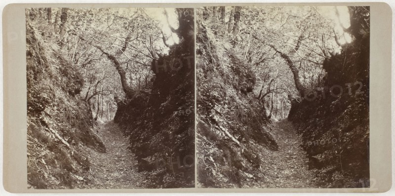 Untitled (Lydford), 1860s, Devon, Albumen print, stereo, 8.2 × 7.6 cm (each image), 8.6 × 17.7 cm (card)