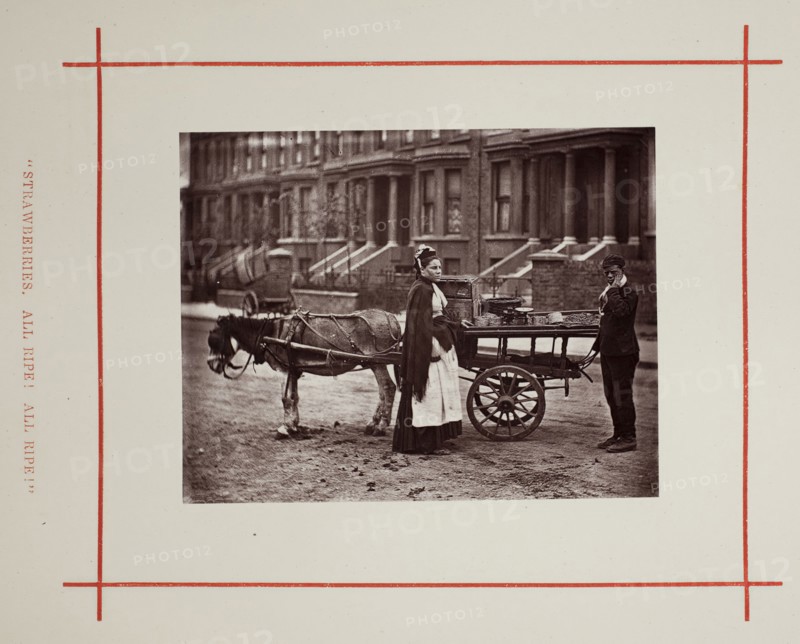 Strawberries. All ripe! All ripe!, 1877, John Thomson, Scottish, 1837–1921, Scotland, Woodburytype, from the album "Street Life in London