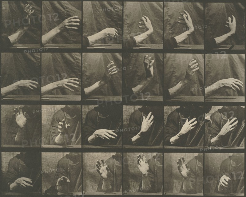 Animal Locomotion, Plate 535, 1887, Eadweard Muybridge, English, active United States, 1830–1904, England, Collotype, from "Animal Locomotion