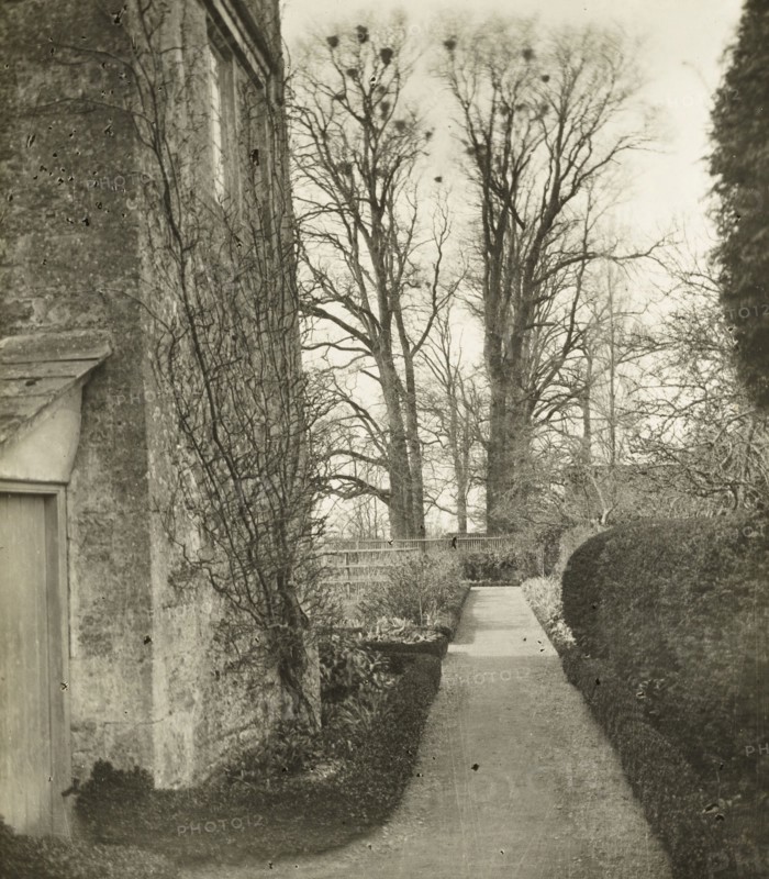 Kelmscott Manor: In the Garden, 1896, Frederick H. Evans, English, 1853–1943, England, Lantern slide, 8.2 × 8.2 cm