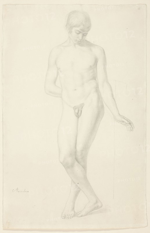 Study of a Standing Nude Youth, 1820, Julius Schnorr von Carolsfeld, German, 1794-1872, Germany, Graphite with stumping on cream wove paper, 411 × 267 mm