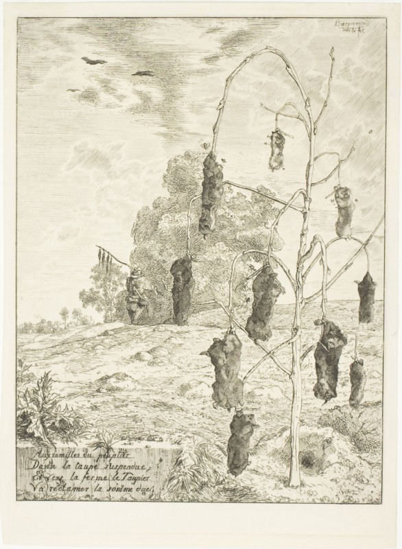 Moles, 1854, Félix Bracquemond, French, 1833-1914, France, Etching in black on ivory laid paper, 254 × 193 mm (image), 274 × 198 mm (plate), 284 × 208 mm (sheet)