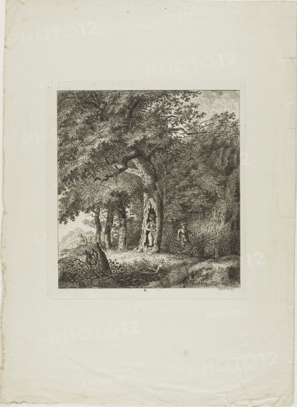 Nymph Hiding in a Tree, plate eight from Paysages Dédiés à M. Warelet, 1764, Salomon Gessner, Swiss, 1730-1788, Switzerland, Etching on cream laid paper, 207 x 188 mm (plate), 386 x 280 mm (sheet)