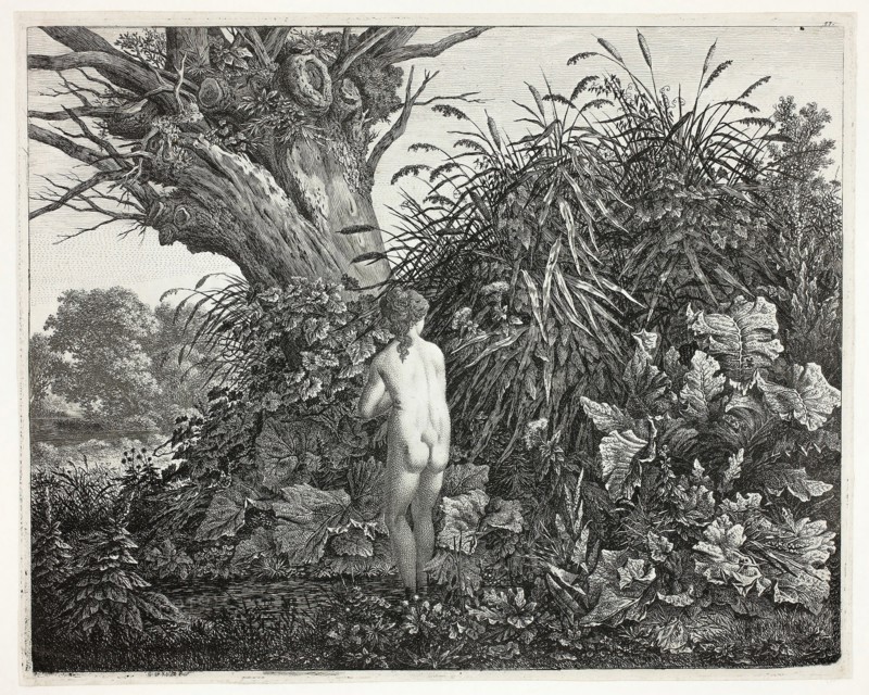 Nymph in a Marshy Woodland, 1800, Carl Wilhelm Kolbe, the elder, German, 1759-1835, Germany, Etching on ivory wove paper, 256 x 323 mm (image), 265 x 330 mm (sheet)