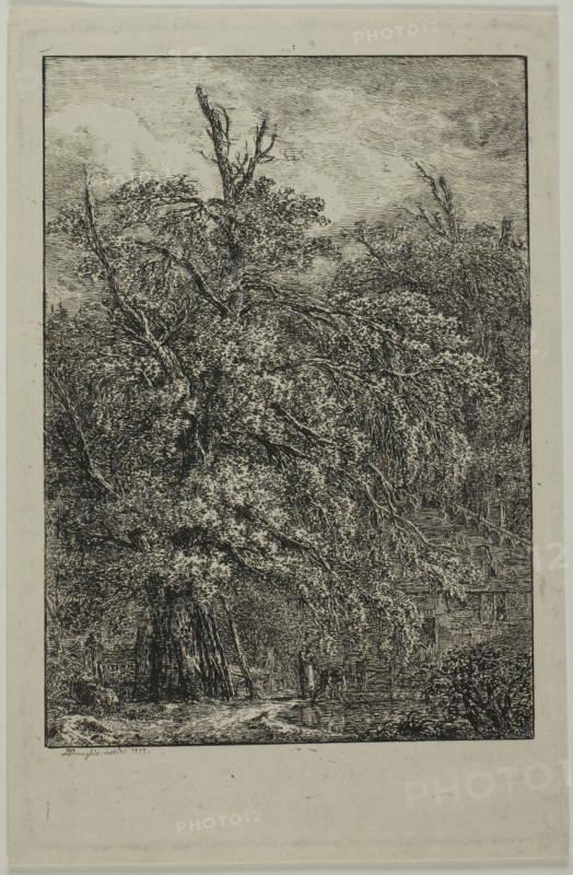 Great Tree, 1809, Domenico Quaglio II, German, 1787-1837, Germany, Etching on cream wove paper, 174 x 111 mm (plate), 182 x 119 mm (sheet)