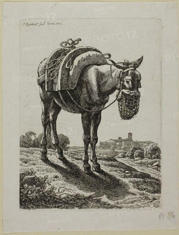 Feeding Mule, Front, from Die Zweite Thierfolge, 1800, Johann Christian Reinhart, German, 1761-1847, Germany, Etching in black on ivory laid paper, 146 x 108 mm (plate), 174 x 132 mm (sheet)
