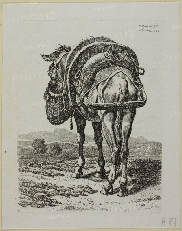 Feeding Mule, Rear, from Die Zweite Thierfolge, 1800, Johann Christian Reinhart, German, 1761-1847, Germany, Etching in black on ivory laid paper, 144 x 108 mm (plate), 169 x 134 mm (sheet)