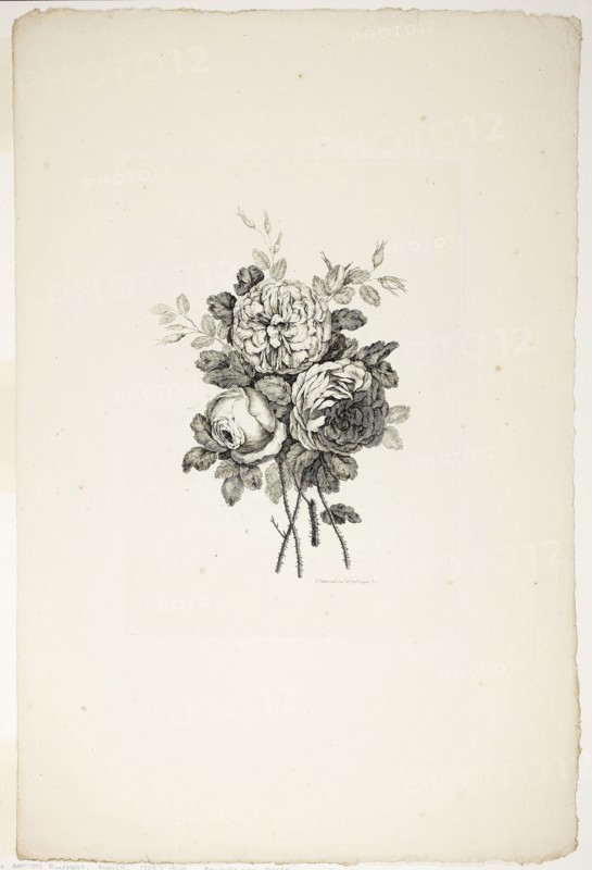 Bouquet with Roses, from Collection of Different Bouquets of Flowers, Invented and Drawn by Jean Pillement and Engraved by P. C. Canot, published July 4, 1760, Pierre-Charles Canot (French, 1710-1777), after Jean-Baptiste Pillement (French, 1728-1808), published by Charles Leviez (French, 1708-1778), France, Etching on ivory laid paper, 299 × 211 mm (plate), 542 × 358 mm (sheet)