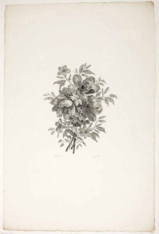 Bouquet with Poppies, from Collection of Different Bouquets of Flowers, Invented and Drawn by Jean Pillement and Engraved by P. C. Canot, published July 4, 1760, Christopher Norton (French, died 1769), after Jean-Baptiste Pillement (French, 1728-1808), France, Etching on ivory laid paper, 303 × 213 mm (plate), 537 × 354 mm (sheet)