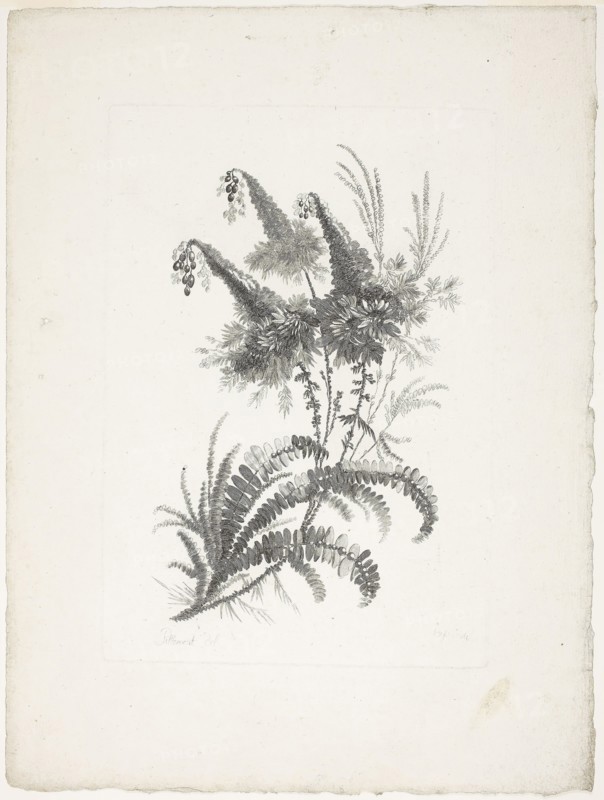 Bouquet, from Collection of New Flowers of Taste for the Manufacture of Persian Cloth, Invented and Drawn by Jean Pillement, 1765/70, Johann Heinrich Hess (Germany, born 1746), after Jean-Baptiste Pillement (French, 1728-1808), published by Charles Leviez (French, 1708-1778), Germany, Etching on ivory laid paper, 238 × 166 mm (plate), 357 × 262 mm (sheet)