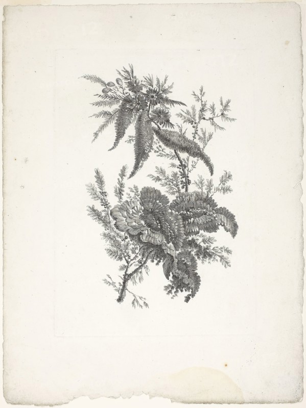 Bouquet, from Collection of New Flowers of Taste for the Manufacture of Persian Cloth, Invented and Drawn by Jean Pillement, 1765/70, Johann Heinrich Hess (Germany, born 1746), after Jean-Baptiste Pillement (French, 1728-1808), published by Charles Leviez (French, 1708-1778), Germany, Etching on ivory laid paper, 250 × 168 mm (plate), 353 × 258 mm (sheet)
