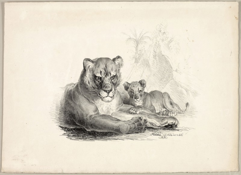 Lion with Cubs, 1831, Johann Höchle, German, 1790-1835, Germany, Lithograph on cream wove paper, 285 x 392 mm