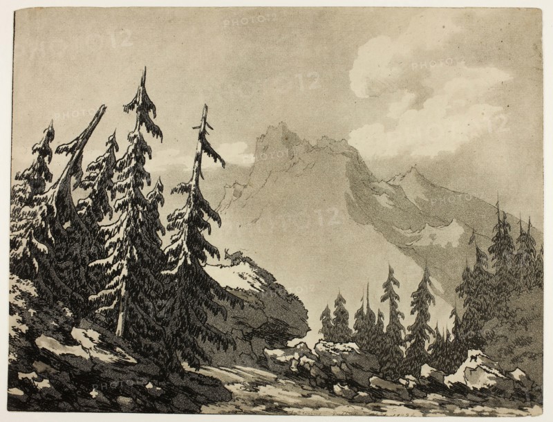 Pine Trees in the Mountains, 1789, John Robert Cozens, English, 1752-1799, England, Aquatint and soft ground etching on cream wove paper, 242 × 316 mm