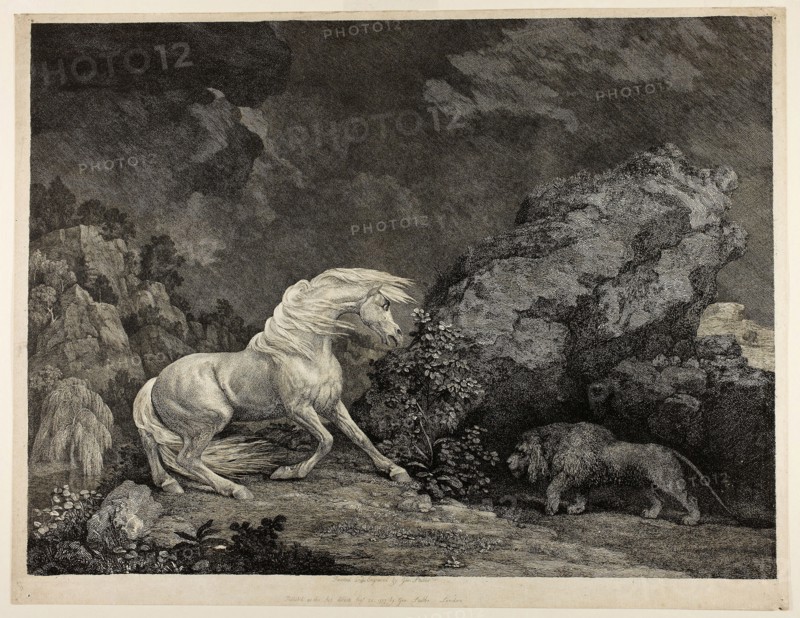 A Horse Affrighted by a Lion, September 25, 1777, George Stubbs, English, 1724-1806, England, Etching and engraving on cream laid paper, 341 × 459 mm (image), 365 × 477 mm (sheet)