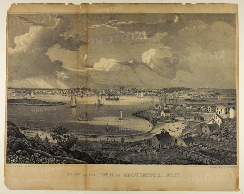 View of the Town of Gloucester, Massachusetts, c. 1836, Fitz Hugh Lane (American, 1804-1865), printed by Pendleton’s Lithography, United States, Lithograph on wove paper, 328 x 499 mm (image), 408 x 510 mm (sheet)