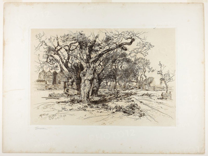 Mulford’s Orchard, Easthampton, 1883, Thomas Moran, American, born England, 1837-1926, United States, Etching in brown, with plate tone, on off-white chine, laid down on white wove card, 290 x 437 mm (chine), 300 x 448 mm (plate), 455 x 609 mm (sheet)