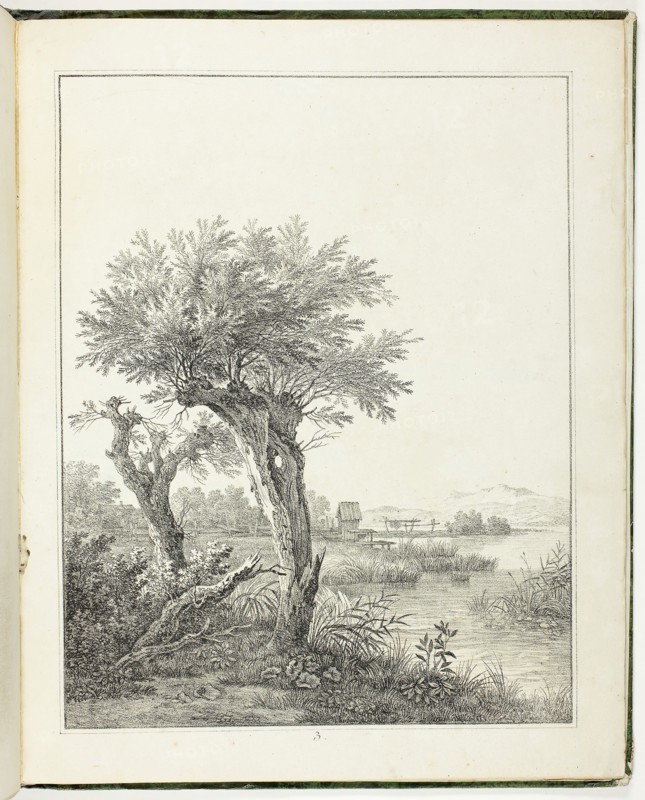 Studies of Trees for Beginning Landscape Artists (Baumstudien für Angehende Landschaftszeichner), 1817, Max Josef Wagenbauer (German, 1774-1829), published by Kunstanstalt bey der Feyertags Schule (German, 19th century), Germany, Book with twelve lithographs in black on ivory wove paper, 447 × 360 × 10 mm