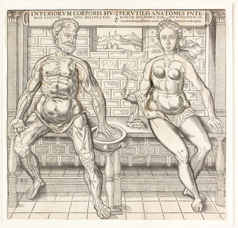 Interiorum corporis humani partium viva delineatio, from the second edition of the Compendiosa totius anatomie delineation, 1555/59, Monogrammist R. S., active in London or Paris, 1550/65, England, Woodcut in black on ivory laid paper, with cut and tipped ivory laid papers, 358 × 370 mm (image/sheet, trimmed within block mark)