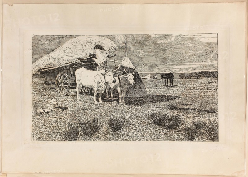 Oxen and Wagon (Maremma), 1886/87, Giovanni Fattori, Italian, 1825-1908, Italy, Etching in black on buff wove paper, laid down on buff wove paper (chine collé), 221 x 386 mm (image), 237 x 419 mm (primary support), 250 x 433 mm (plate), 354 x 510 mm (secondary support)