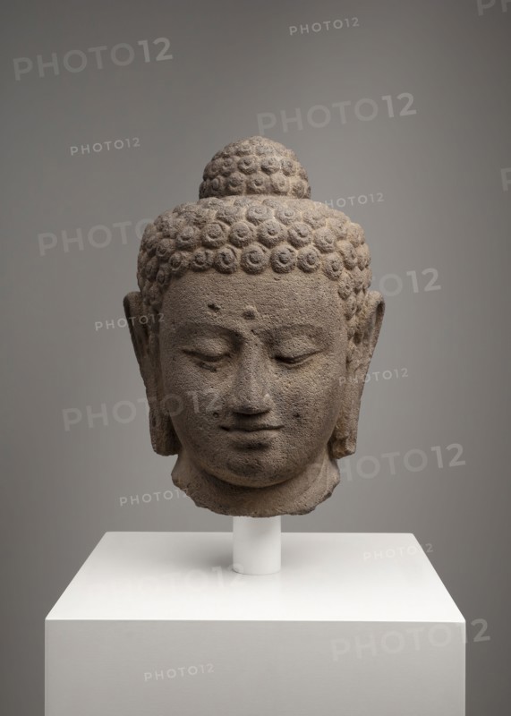 Head of Buddha, 9th century, Indonesia, Central Java, Central Java, Andesite, 40.6 × 24.2 × 24.8 cm (16 × 9 1/2 × 9 3/4 in.)