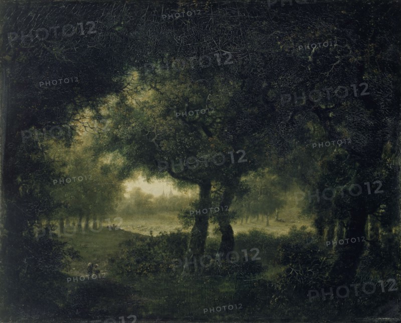 Forest Landscape, 1787, oil on canvas, 35.5 x 44 cm, not specified, Johann Kaspar Kuster, Winterthur 1747–1818 Winterthur