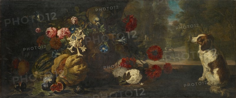 Still Life with Fruits and Flowers, Parrot and Dog, Oil on Canvas, 62 x 148 cm, Not Specified, David de Coninck, Antwerpen um 1644–nach 1701 Brüssel