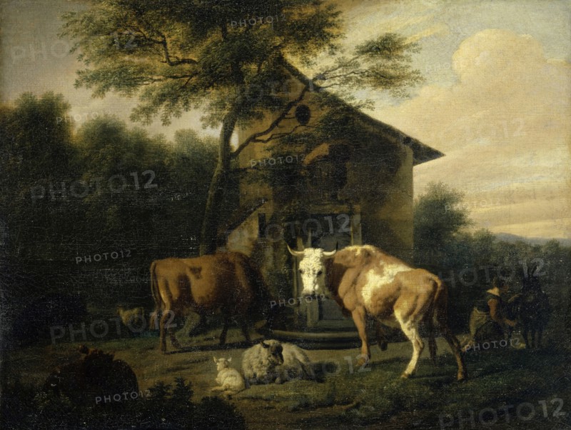 Grazing cattle, oil on canvas, 40 x 52 cm, Not specified, Dirck van Bergen, Haarlem 1645–nach 1690 Haarlem