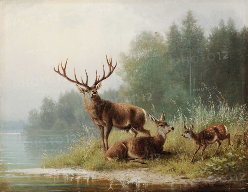 Deer at the lake, 1876, oil on canvas, 27.5 x 35 cm, signed, inscribed and dated lower right: M. Müller., Munich., 1876th, Moritz Müller, München 1841–1899 München