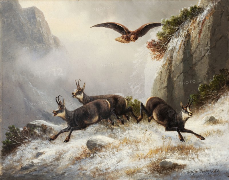 Chamois pursued by Adler, 1877, oil on canvas, 28 x 35 cm, signed, inscribed and dated lower right: M. Müller., Munich., 1877th, Moritz Müller, München 1841–1899 München