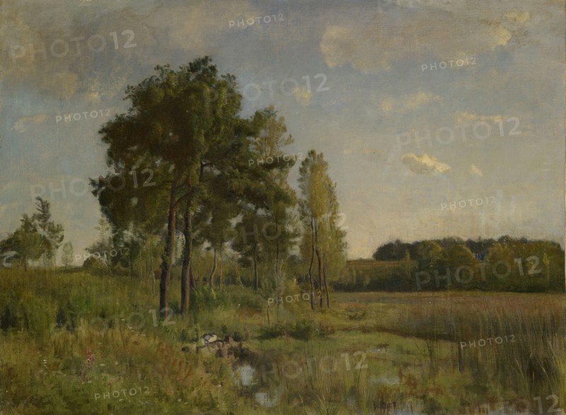 Marécage, oil on canvas, 48 x 64.5 cm, unmarked, Barthélemy Menn, Genf 1815–1893 Genf