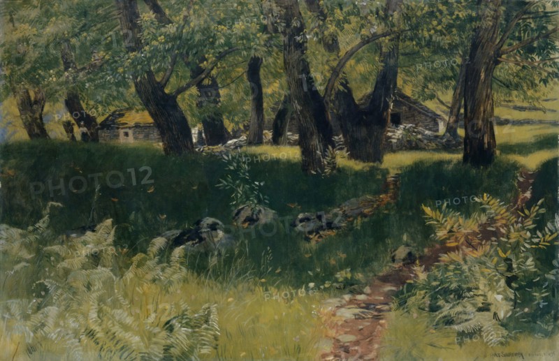 Chestnut Forest near Bignasco, August 1896 (Bignasco), oil on canvas, 96 x 147.5 cm, signed, inscribed and dated lower right: HANS SANDREUTER BIGNASCO 1896, Hans Sandreuter, Basel 1850–1901 Riehen
