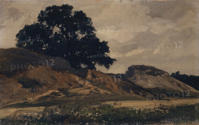 Hilly landscape with large tree, 1860-1890, oil on canvas, 26.5 x 42.5 cm, signed lower right: O. Fröhlicher [sic], Otto Frölicher, Solothurn 1840–1890 München