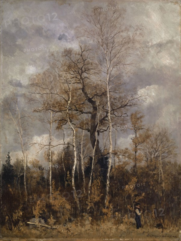 Oaks and birch trees in early spring, oil on canvas, 60 x 45.5 cm, signed lower right: C Th Meyer-Basel M, Carl Theodor Meyer-Basel, Basel 1860–1932 St. Gallen