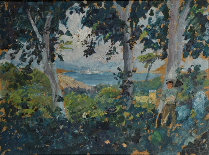 View through a grove of southern bay, oil on cardboard, 26 x 34.5 cm, Ernst Schiess, Basel 1872–1919 Valencia