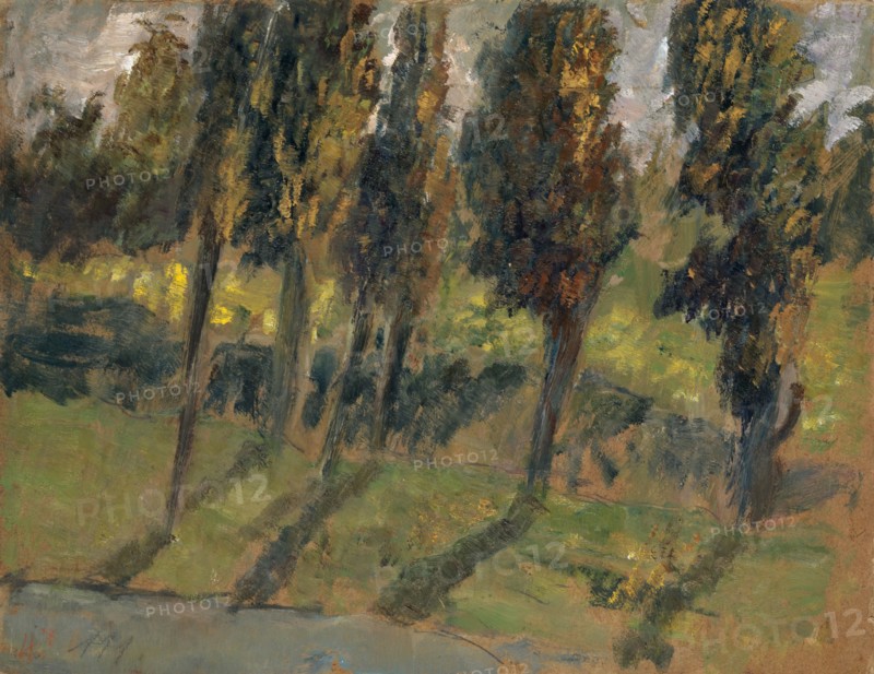 Autumn trees on stream, oil on cardboard, 27 x 34.5 cm, Ernst Schiess, Basel 1872–1919 Valencia