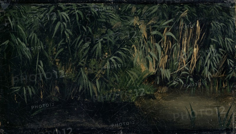 Reed, 1845, oil on canvas, mounted on cardboard, 14.8 x 26 cm, monogrammed and dated lower left: A. B. 1845.9, Arnold Böcklin, Basel 1827–1901 San Domenico